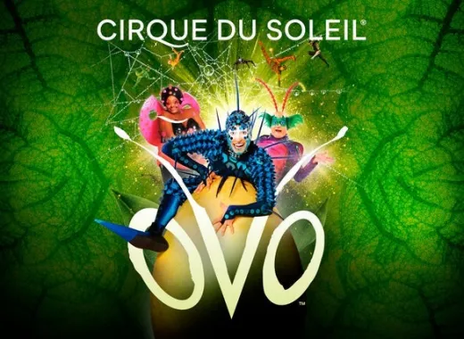 シルク・ドゥ・ソレイユ「OVO」