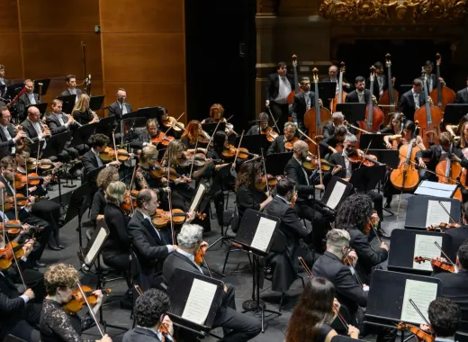Mahler-Universum