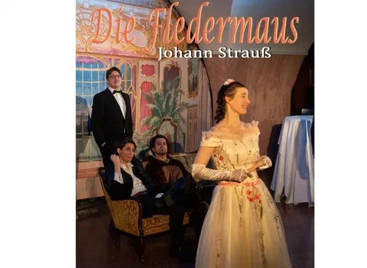 Die Fledermaus, Johann Strauss