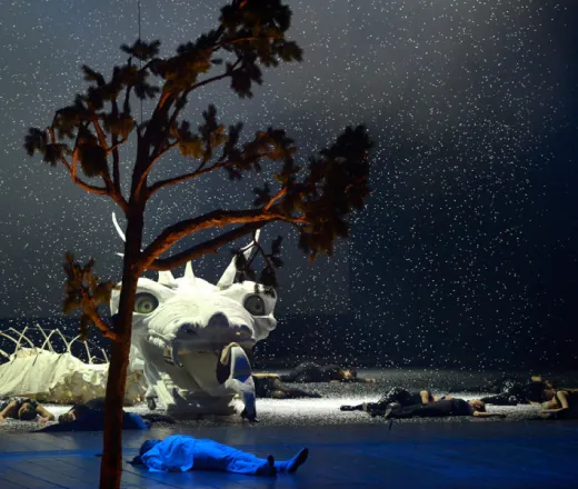 The Magic Flute