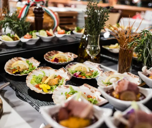 Dinner and Cruise with Folklore Live Music and Dance Show