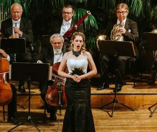 Orchestra Hofburg din Viena, Concert Strauss și Mozart
