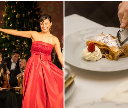 Cina și concert la Palatul Schönbrunn Viena
