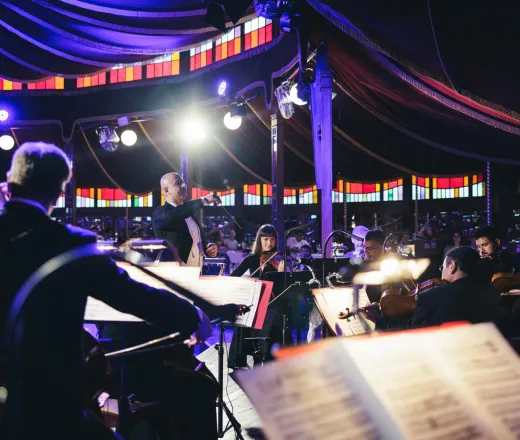 Spectacol Johann Strauss cu Cină