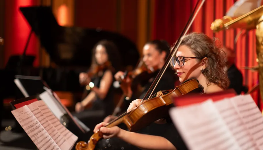 Classics of Austria, Il concerto classico a Vienna