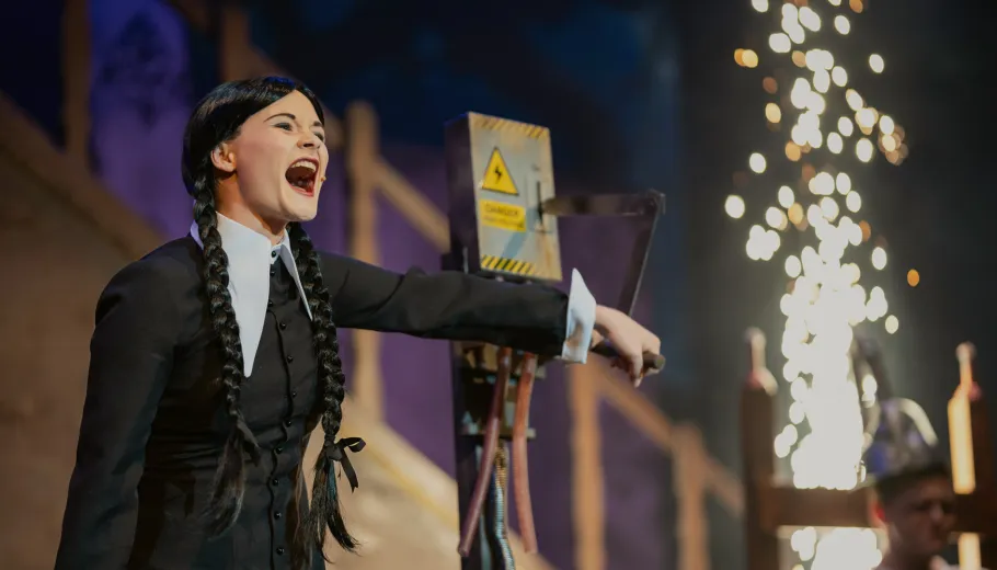 The Addams Family, Musicalul