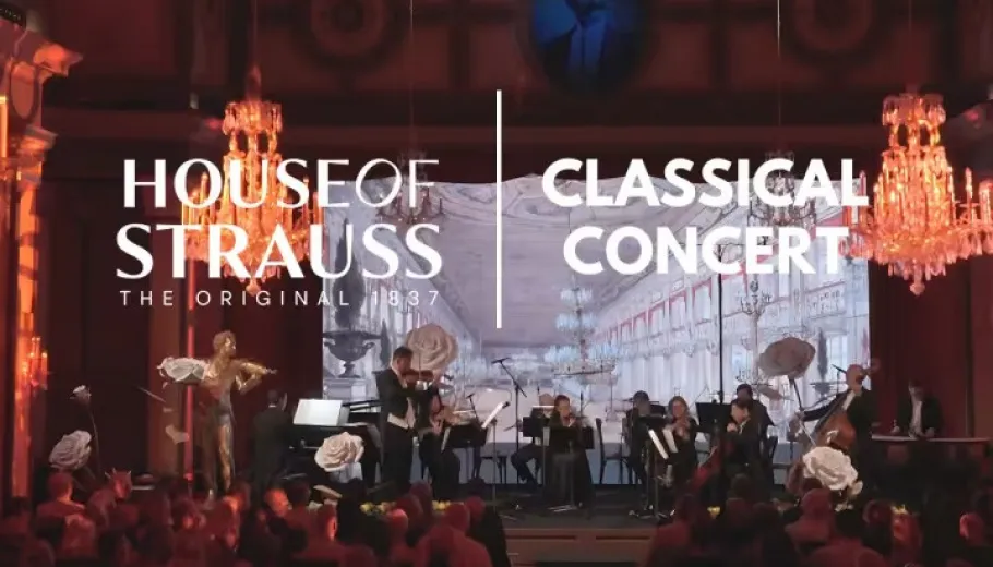 House of Strauss, Concert Show