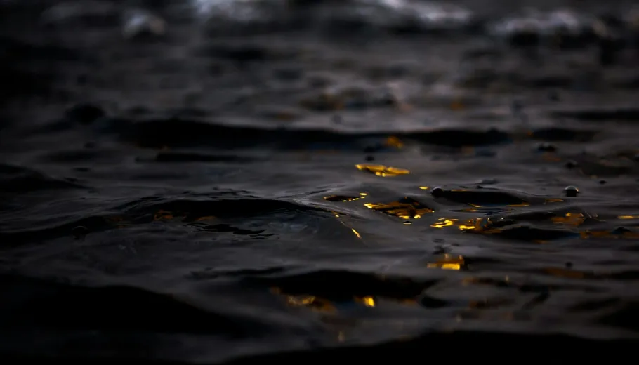 The Rhinegold